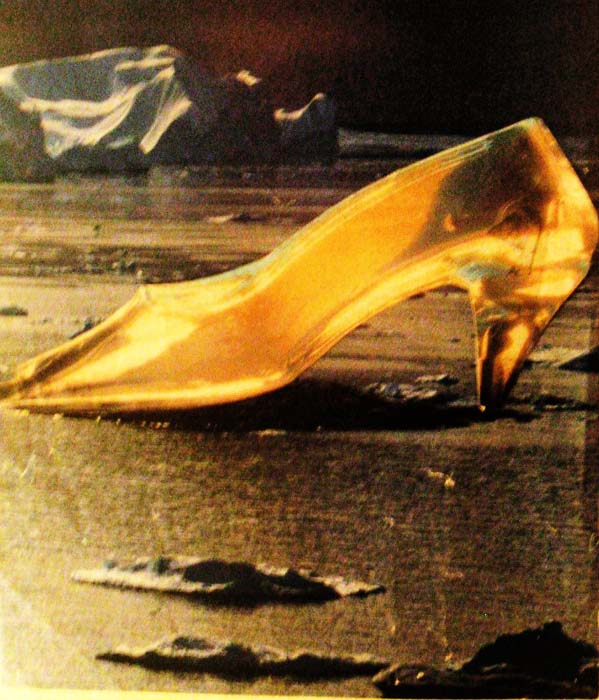 sinderella's shoe