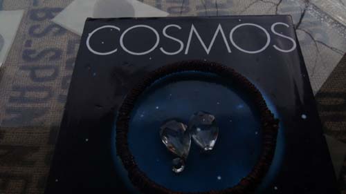 cosmos